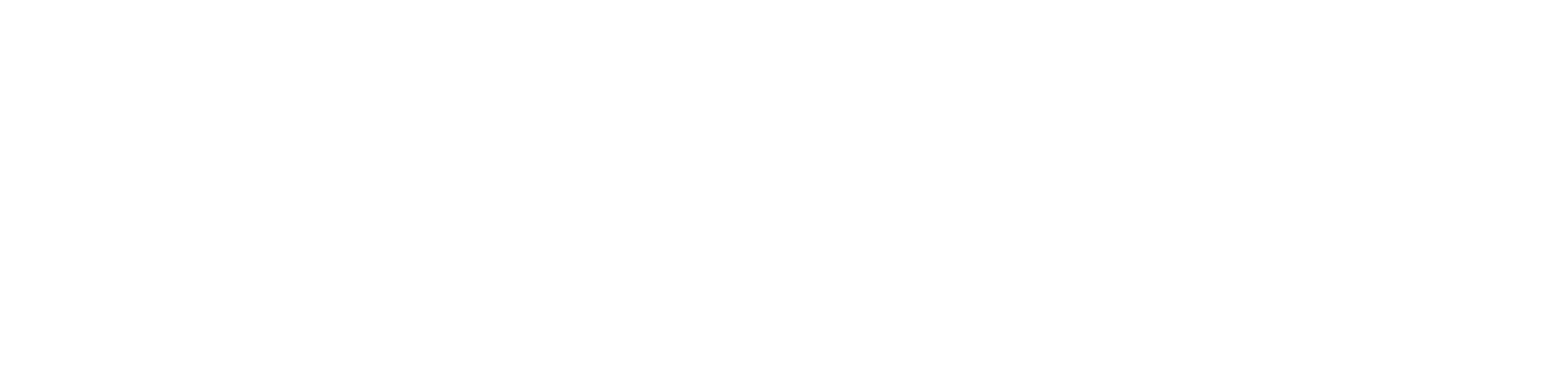 VetCT logo WHITE RGB NO TAGLINE