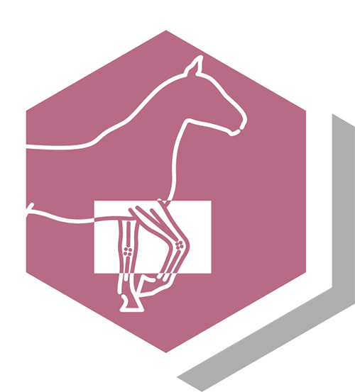 Equine-2